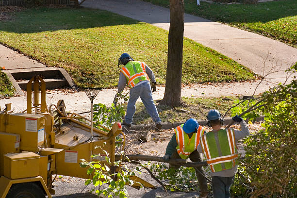 Mulching Services in Due West, SC